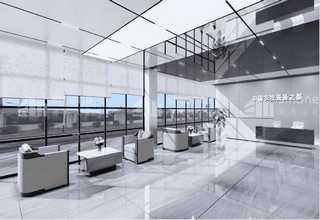 一站式撸猫宠物店